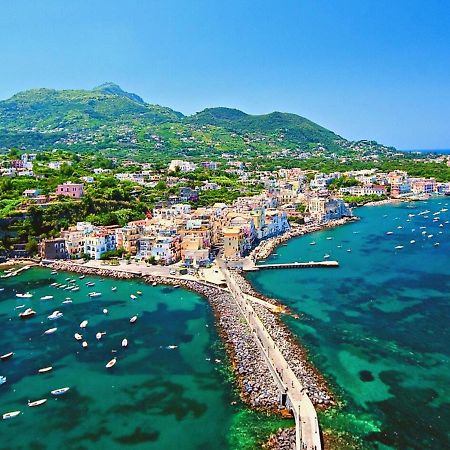 Villa To Ischia With Love Eksteriør bilde